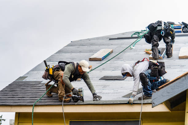 Professional Flat Roof Repair technician working in Orangeville, UT